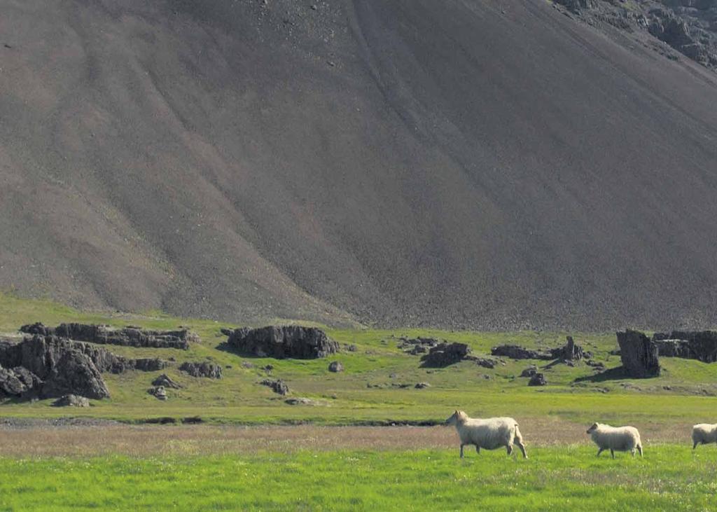 20 Þorrakálfur Sláturfélags Suðurlands okkar Flaggskipið framleiðslu í okkar er SS framleiðslu pylsan, sem er SS pylsan, sem erku heldur stöðu sinni á markaði sterku stöðu sem langvinbitsælasti