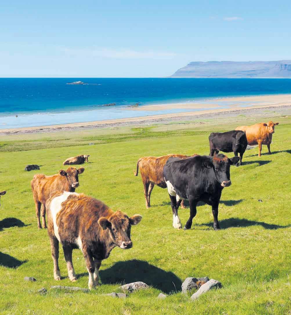 Bændablaðið Fimmtudagur 9.