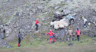 Árið 2011 byggðu Jóhanna og Styrmir íbúðarhús á jörðinni, sem heitir Kaplaskjól.