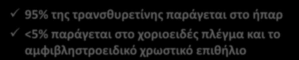 Η τρανσθυρετίνη παράγεται στο ήπαρ 95% της τρανσθυρετίνης