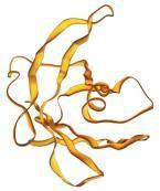 Muscle Nerve 2007; Roberts et al. Medscape, 2009; Zeldenrust.
