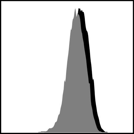 Fig. S1 A C Activated CD8+ T