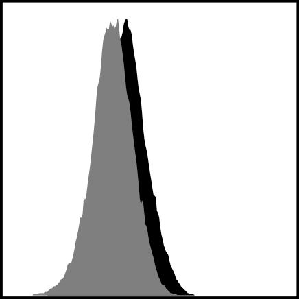 5 Il-2 Il2-r 2.