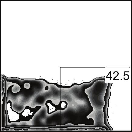 cbx3 +/- Gr-1 Mac-1 % Gr-1 + cells (per 10 5 tumor cells) % Mac-1 + cells (per 10 5 tumor cells)
