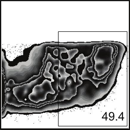 CD4/CD8 WT cbx3 +/- % Gr-1 + cells (per 10 5 tumor cells) 40 30 20 10 Gr-1 0 WT