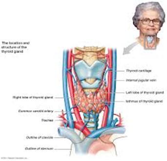 Θυρεοειδεκτομή στους ηλικιωμένους η αύξηση του μέσου όρου ηλικίας η αύξηση της συχνότητας του καρκίνου του θυρεοειδούς αδένα η αυξημένη