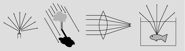 ...u geometrijskoj optici: - svjetlost se širi pravocrtno - snopovi su divergentni, paralelni ili konvergentni - brzina