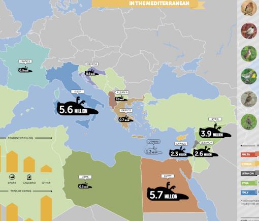 Η ΚΥΠΡΟΣ ΑΝΑΜΕΣΑ ΣΤΙΣ ΧΩΡΕΣ ΔΟΛΟΦΟΝΟΥΣ ΠΟΥΛΙΩΝ ΜΕ 2,3 ΕΚΑΤΟΜΜΥΡΙΑ