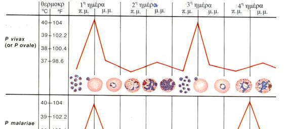 264 ΔΙΑΓΝΩΣΤΙΚΗ ΠΡΟΣΕΓΓΙΣΗ Εικόνα-57: