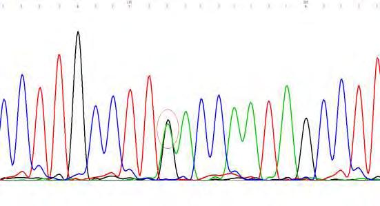 Ανάλυση του προϊόντος PCR με DNA Sequencing. Εικόνα 39.