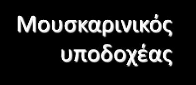 + Gs -υποδοχέας
