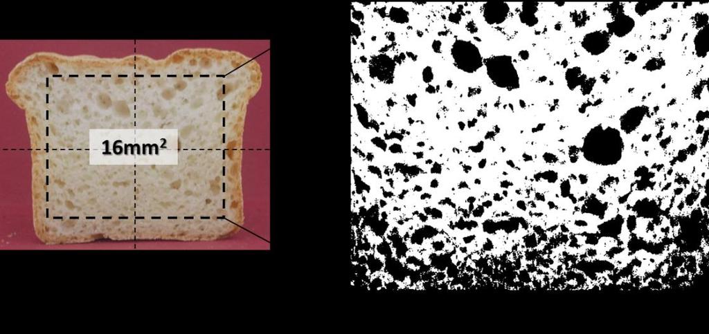 Υλικά και μέθοδοι 4.4.3 Ανάλυση πορώδους της ψίχας Το πορώδες της ψίχας των δειγμάτων άρτου εξετάστηκε με την τεχνική της ανάλυσης εικόνας.