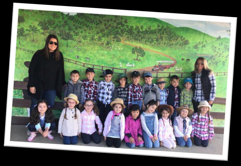 Kindergarten Excursion Calmsley Hill City Farm Last