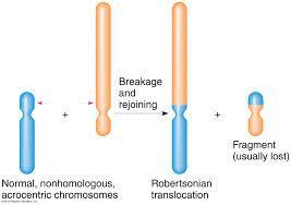 Αυτοσωμικές ανωμαλίες -Δομικές ανωμαλίες που μπορούν να κληρονομήσουν στο έμβρυο