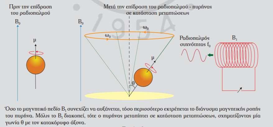 Στον επόµενο κύκλο λειτουργίας της συσκευής, το µαγνητικό πεδίο Β1 θα φέρει και πάλι τον πυρήνα σε κατάσταση µεταπτώσεως προσδίδοντάς του ενέργεια, στη συνέχεια θα διακοπεί ώστε ο πυρήνας να