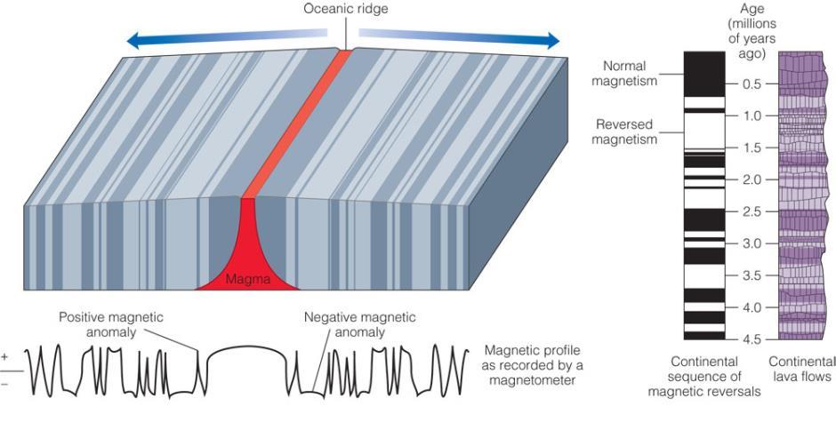 ) O método magnético permite asignar cronoloxías (Paleomagnetismo).