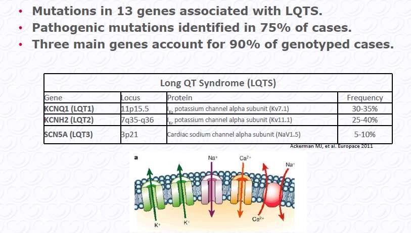 Key Genes in