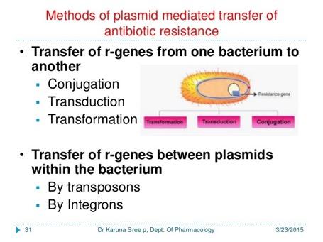 γενετικών µεταθετών στοιχείων που καλούνται τρανσποζόνια (transposons) και