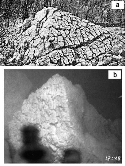 +113 +12, 9 Fig. 0. Giant pumice erupted in the submarine eruption of Showa-Iojima. a) drifted giant pumice as large as 1 m on the coast of Iojima (Fig.