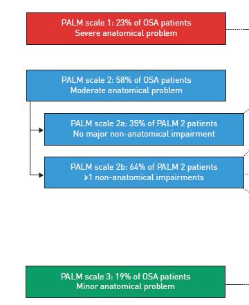 Eur Respir Rev 2017; The PALM scale Pcrit