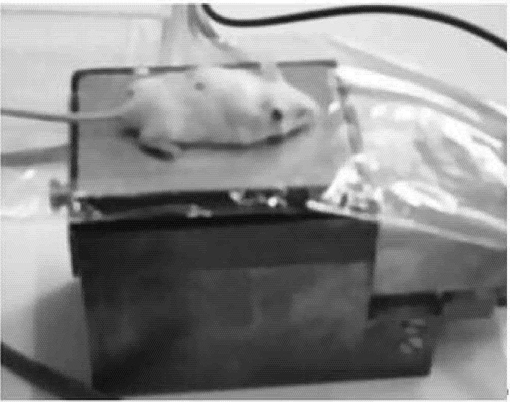 2.2 γ-camera Του Συστήματος Στοιχεια γ-camera του συστήματος: Φωτοπολλαπλασιαστές (PSPMTs) Hamamatsu H8500 Κρύσταλος NaI (Tl) Κατευθυντήρας παράλληλων οπών (Parallel-Hole Collimator) Συναρμολόγηση