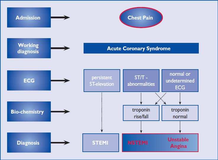 ESC Guidelines for NSTE-ACS.