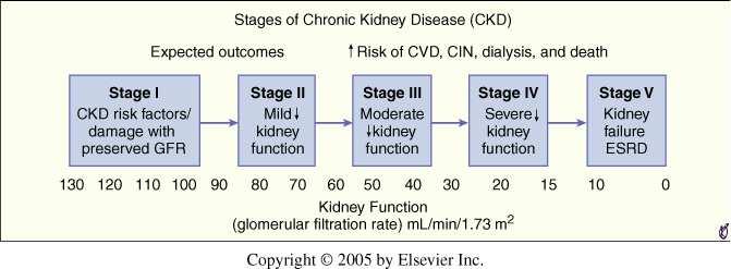 Στάδια της νεφρικής ανεπάρκειας.