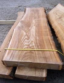 Σκληρή ξυλεία ή πλατύφυλλα (hardwoods) τα οποία έχουν πάντοτε πόρους/ αγγεία.