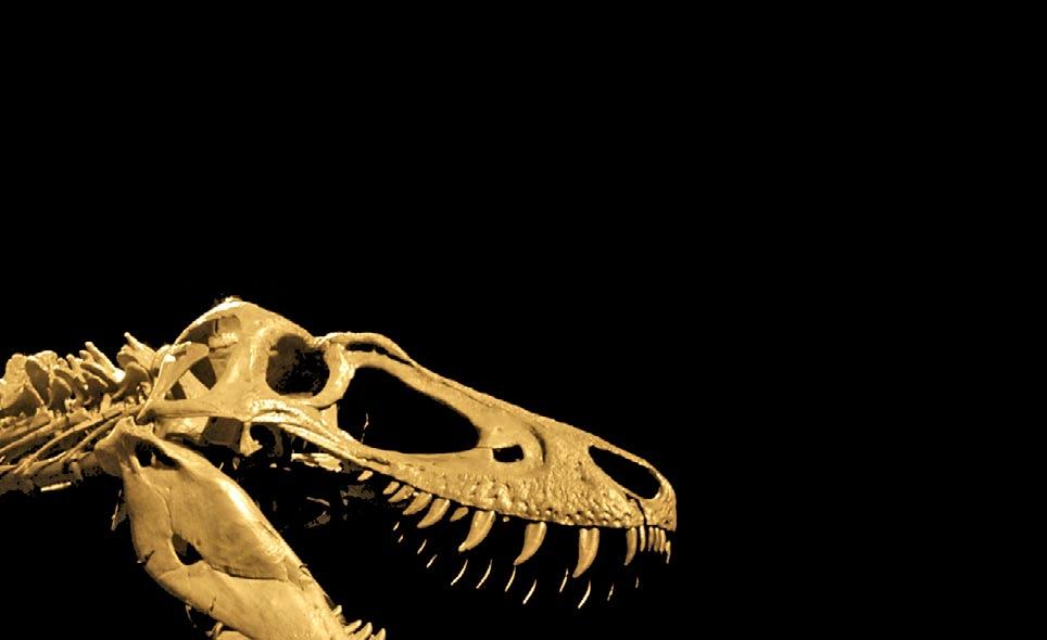 Οι δεινόσαυροι αποτελούν απόκλιση των αρχόσαυρων, της προγονικής τους ομάδας, η οποία περιλαμβάνει τους κροκόδειλους, τους πτερόσαυρους και τα πτηνά.