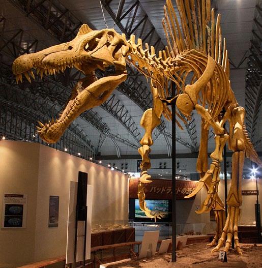 Οι ιχθυόσαυροι κυριάρχησαν καθόλη την διάρκεια της Ιουρασικής περιόδου και έκτοτε άρχισαν να παρακμάζουν, ενώ εξαφανίστηκαν στην διάρκεια της Κρητιδικής περιόδου, αρκετά εκατομμύρια χρόνια πριν τους
