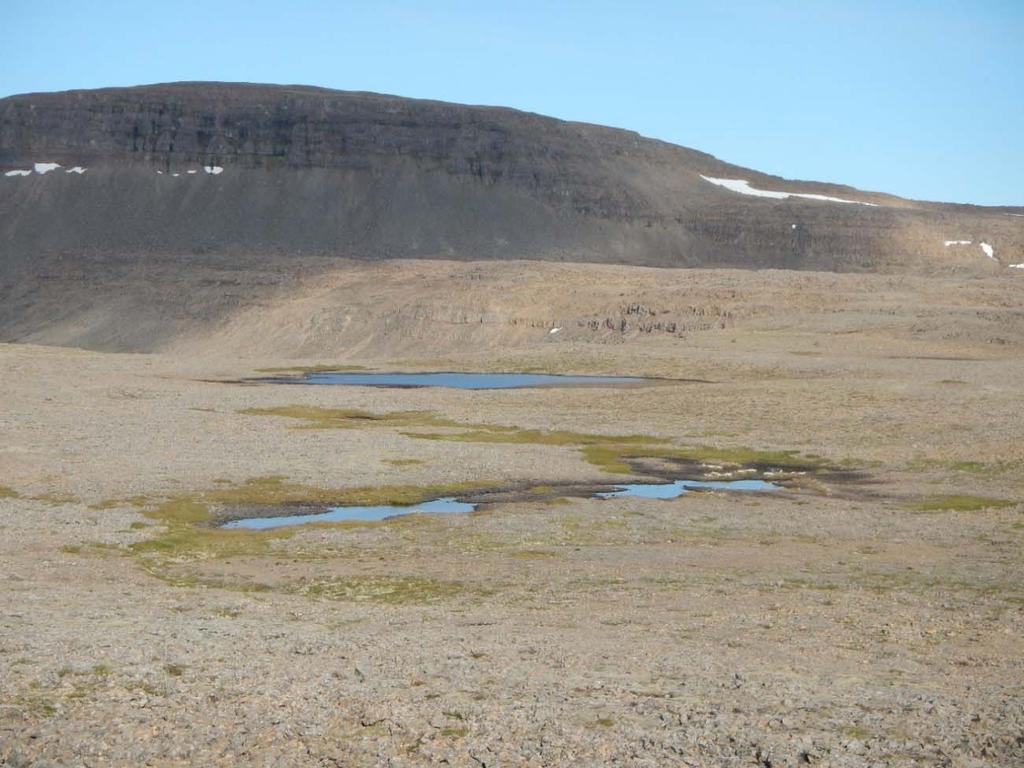 Dynjandisheiði. Ljósm: Jón S. Ólafsson. 3.