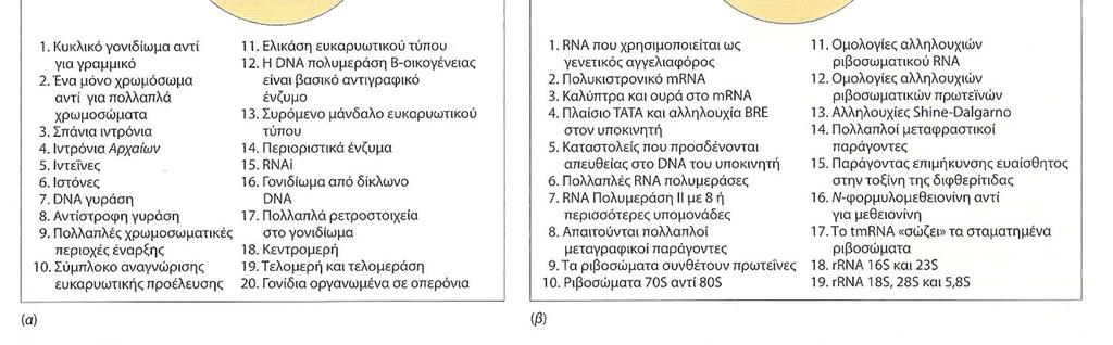 145. Μοριακά χαρακτηριστικά των 3 χώρων.