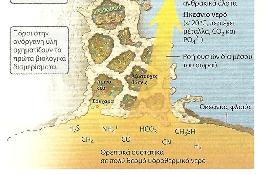 Eπιπλέον, η επιφάνεια της γης ήταν πολύ θερμότερη από ότι σήμερα (εικάζεται ότι τα πρώτα 500 εκατομμύρια χρόνια η θερμοκρασία ήταν >100 o C).