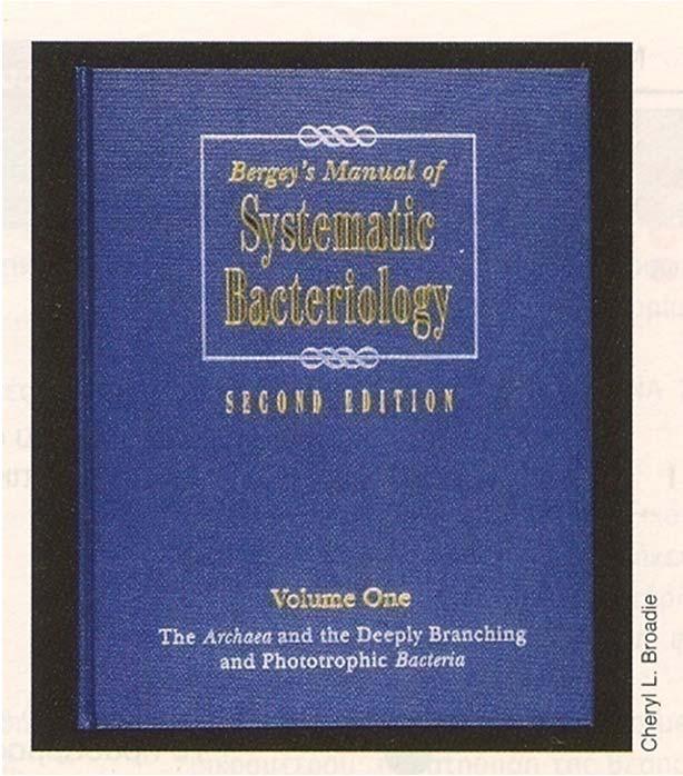 Το Εγχειρίδιο Συστηματικής Βακτηριολογίας του Bergey είναι ένας κατάλογος πρότυπων και μοριακών πληροφοριών για όλα τα αναγνωρισμένα είδη προκαρυωτών κατά τον χρόνο δημοσιευσής του.