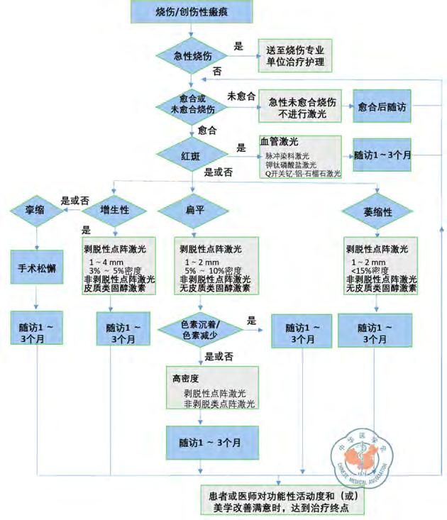 2017 12 6 Chin J Injury Repair and Wound Healing Electronic Edition December