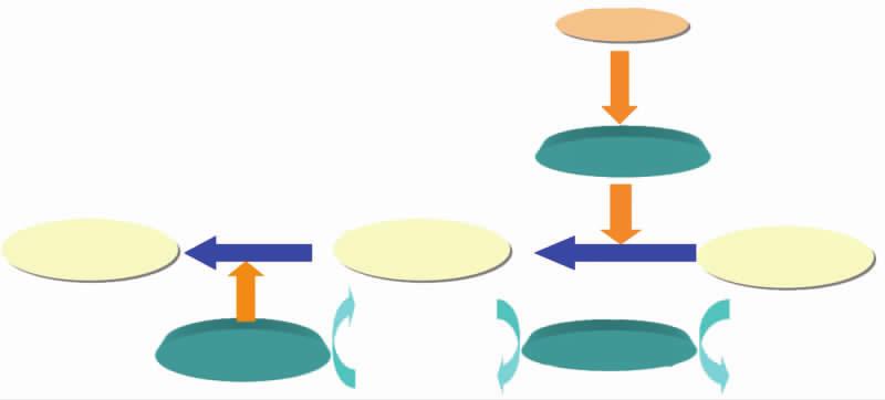 410 Prog Biochem Biophys 2011; 38 (5) FKBP12 RyR2 FKBP126 500 [3] Stange [14] FKBP126 RyR2 Ser-2809 FKBP126 RyR2 RyR2 FKBP12 RyR2 FKBP126 7 Xiao [15] FKBP126 FKBP12 RyR2 FKBP12 RyR2 RyR2 RyR2 FKBP126