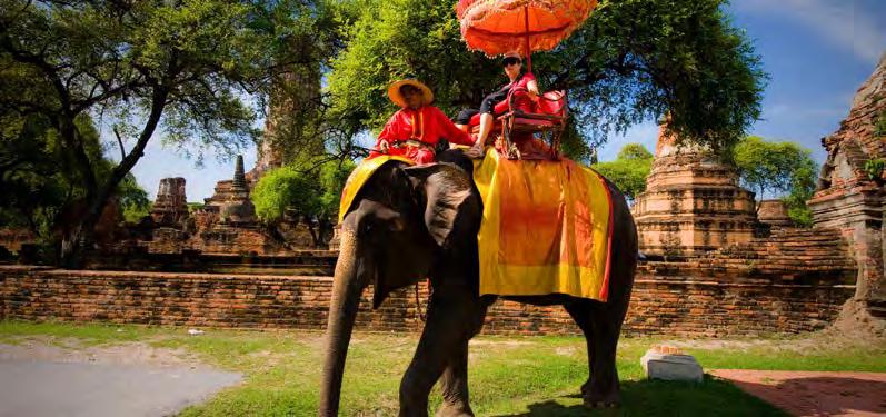FLOATING MARKET & CHANG PUAK ELE- PHANT PARK ΠΛΩΤΗ ΑΓΟΡΑ & ΠΑΡΚΟ ΕΛΕΦΑΝΤΩΝ Έναρξη: 09:00 Διάρκεια: 5 ώρες Πρόγευμα στο ξενοδοχείο και παραλαβή από τον οδηγό για την μεταφορά στις διάσημες πλωτές