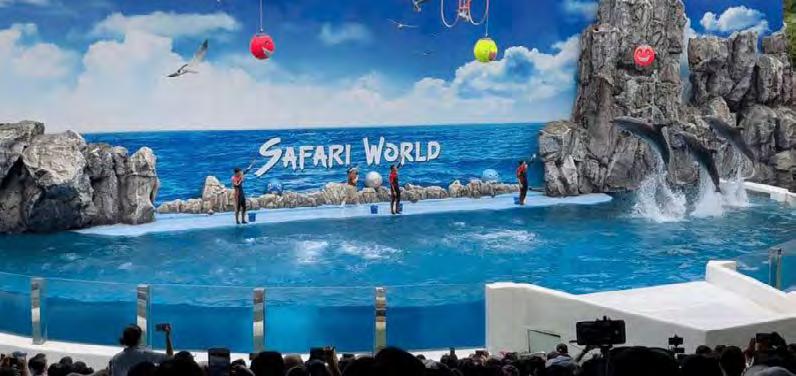 SAFARI WORLD SAFARI WORLD Έναρξη: 09:15-17:00 Διάρκεια: - Το Safari World είναι ο μεγαλύτερος ανοιχτός ζωολογικός κήπος στη Μπανγκόκ και πάρκο αναψυχής που προσφέρει μεγάλη ποικιλία ψυχαγωγίας.