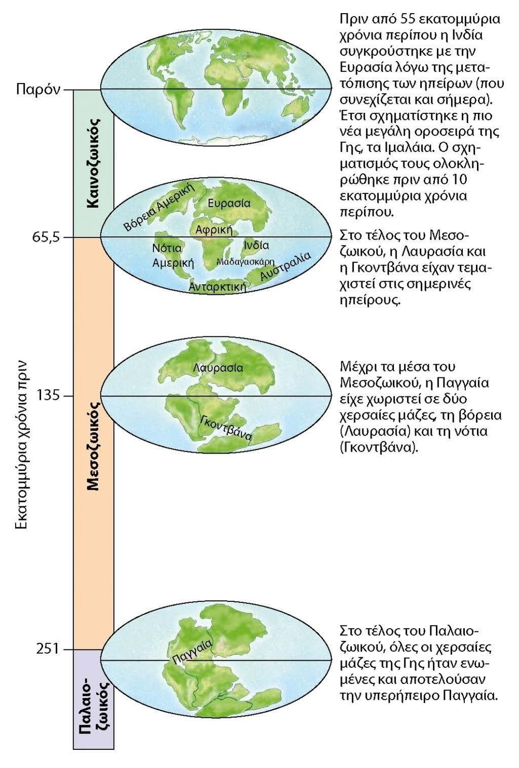 Καινοζωικός αιώνας (65mya-σήμερα) Τριτογενές: (65-1,8mya) Διαμόρφωση σύγχρονων ηπείρων Κατά τα μέσα της περιόδου