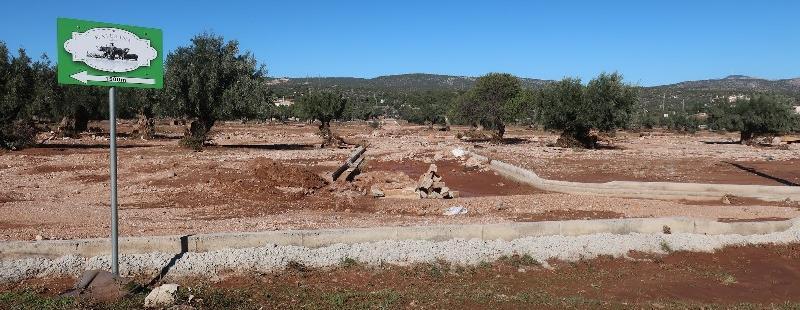 Αικατερίνης / Κατσημίδη χωρίς να υπάρχει διευθέτηση της κοίτης ή οποιαδήποτε