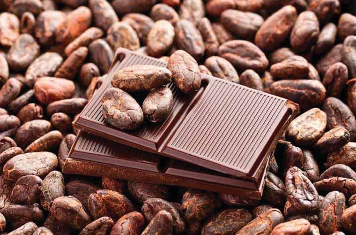 24 MOZAIK Bota mund të mbetet pa çokollatë brenda 40 vjetëve Ekspertët parashikojnë se bota mund të mbetet pa çokollatë brenda 40 viteve, sepse lulet e kakaos po kanë probleme të mbijetojnë në klimat