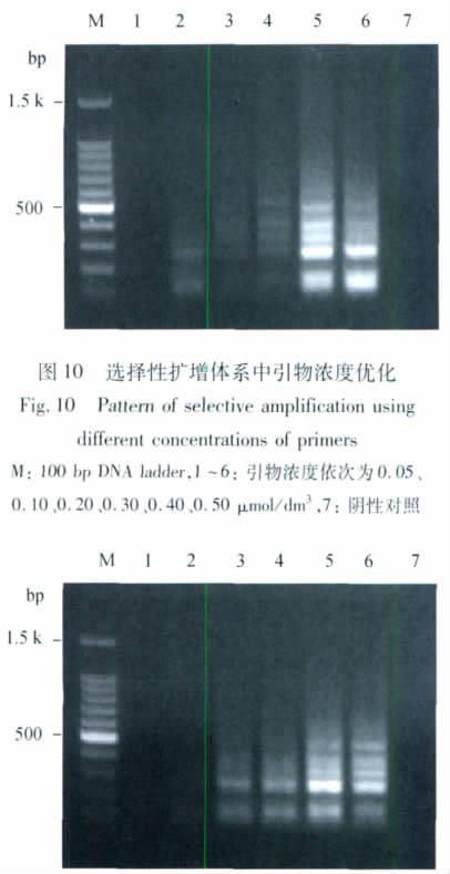 444 31 50 5 mm 3 10 PCR Buffer 5 mm 3 MgCl 2 25 mmol /dm 3 4 mm 3 dntp 2 5 mmol /dm 3 each 4 mm 3 Taq 5 U /mm 3 0 6 mm 3 PstI 20 μmol /dm 3 1 mm 3 MseI 20 μmol /dm 3 1 mm 3 50 mm 3 2 4 AFLP 64 AFLP