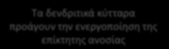 στρατολόγηση ανοσιακών κυττάρων Δυνατή