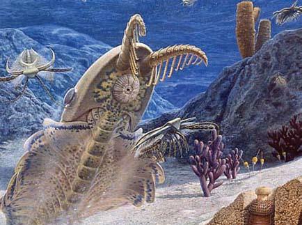 Κάμβρια Περίοδος Ορδοβίκια Περίοδος Σιλούρια Περίοδος Δεβόνια Περίοδος λούρια (πριν από 444-416 εκατομμύρια χρόνια) οι Στη συνέχεια, κατά τη διάρκεια της Δεβόνιας Περι- του ενός μέτρου, ενώ προς τα