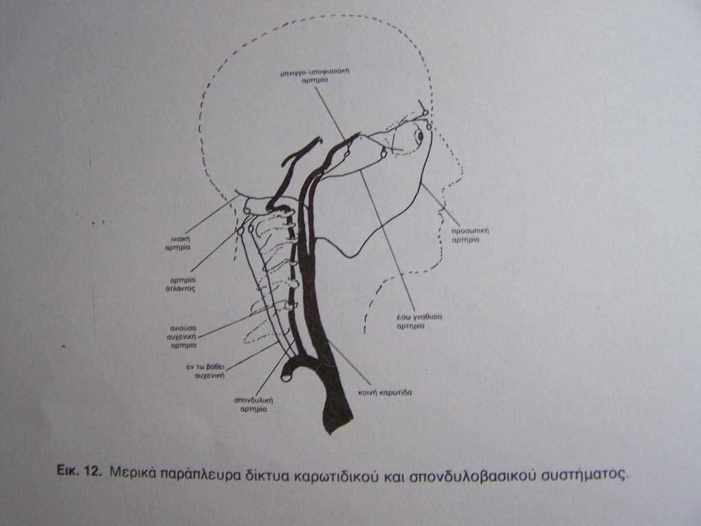 Το φλεβικό σύστηµα του εγκεφάλου αποτελείται από δύο δίκτυα το επιπολής και το εν τω βάθει.