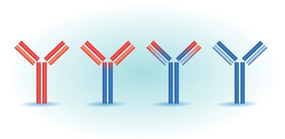 Αναστολείς της PCSK9 (µονοκλωνικά αντισώµατα) Evolocumab (AMGEN)