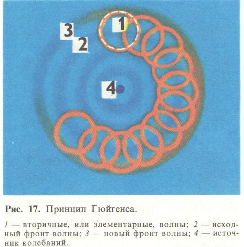 Гюйгенс- Френель принципін түсіндіру: 1- екінші реттік (немесе элементар) толқындар; 2- алғашқы толқын шебі;