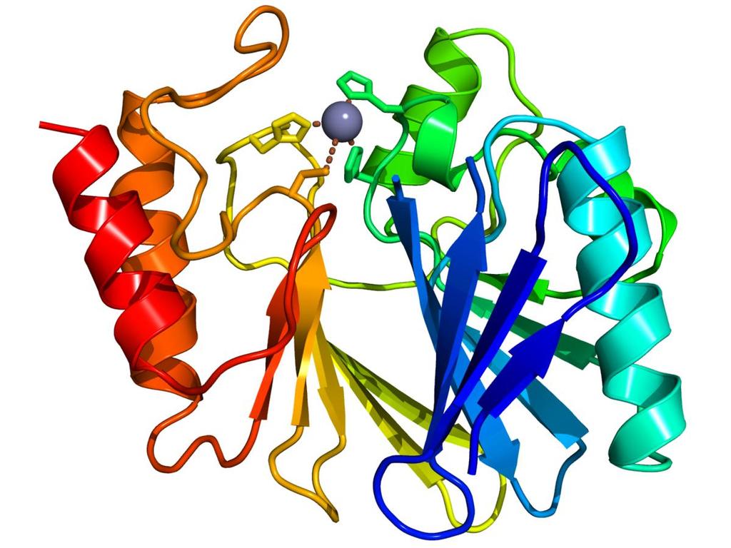 ΟΧΙ Acinetobacter ΟΧΙ metallo-b-lactamase producing