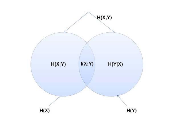 μεταβλητών είναι I( X; Y ) = 0 - Αν η X είναι πλήρως εξαρτημένη από την Y, δηλαδή H( X / Y ) = 0, τότε I( X; Y) = H( X) = H( Y) Εναλλακτικά, η σχέση της αμοιβαίας πληροφορίας με τις από κοινού και
