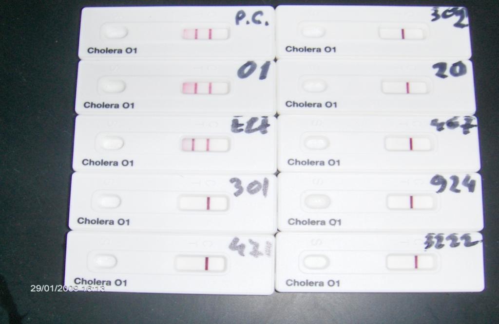 sur. 19.qolera smartis testi V. cholerae O1-is serotipistvis V.